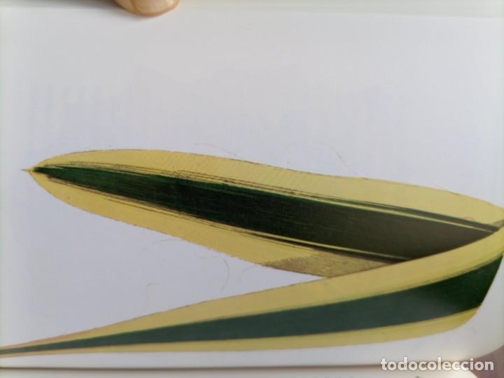 Libros de segunda mano: Beautiful leaved plants Franc&eacute;s Perry - Foto 7