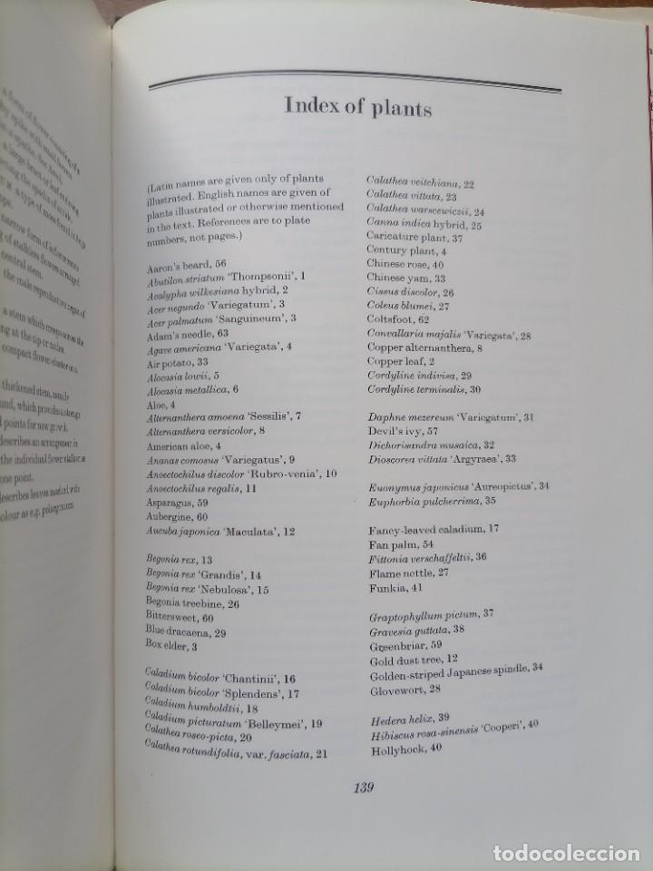 Libros de segunda mano: Beautiful leaved plants Franc&eacute;s Perry - Foto 21
