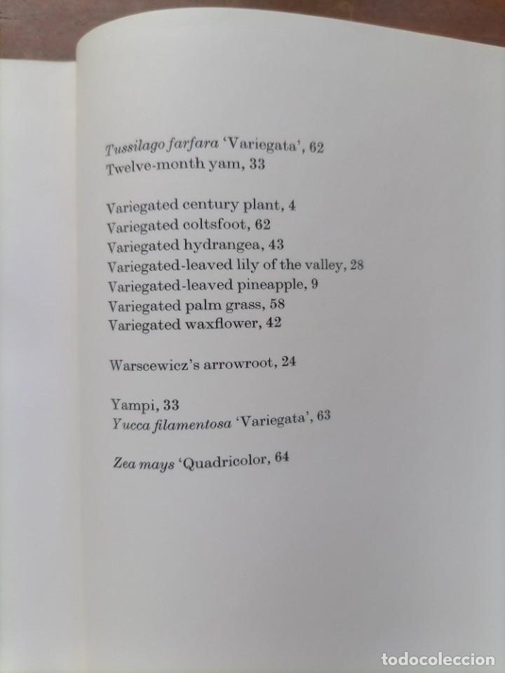 Libros de segunda mano: Beautiful leaved plants Franc&eacute;s Perry - Foto 23