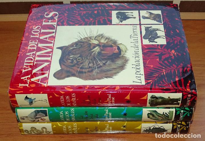 Libros de segunda mano: La vida de los animales. 3 vol&uacute;menes. - Foto 1