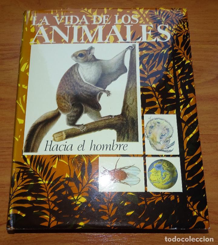 Libros de segunda mano: La vida de los animales. 3 vol&uacute;menes. - Foto 4