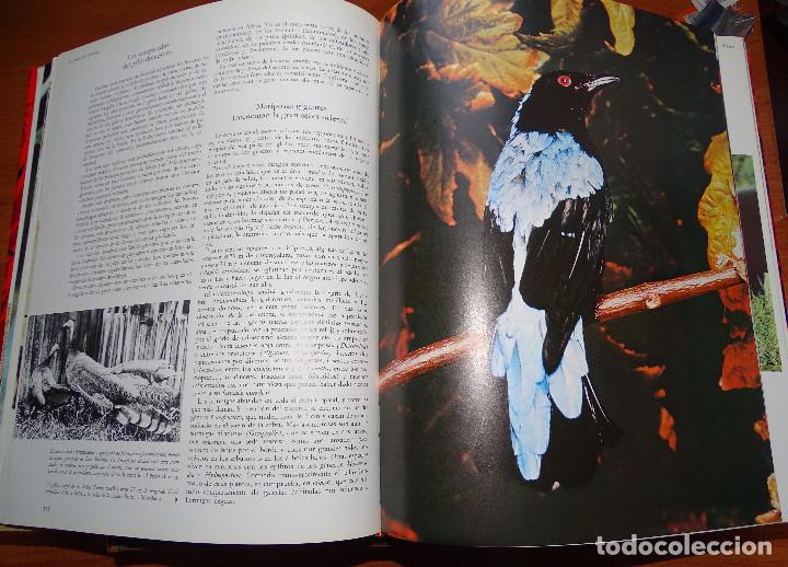 Libros de segunda mano: La vida de los animales. 3 vol&uacute;menes. - Foto 5