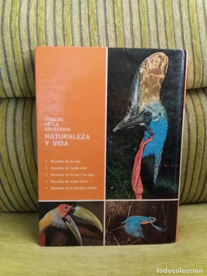 Libros de segunda mano: MARAVILLAS DE LAS AVES - Foto 3