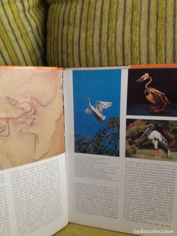Libros de segunda mano: MARAVILLAS DE LAS AVES - Foto 6