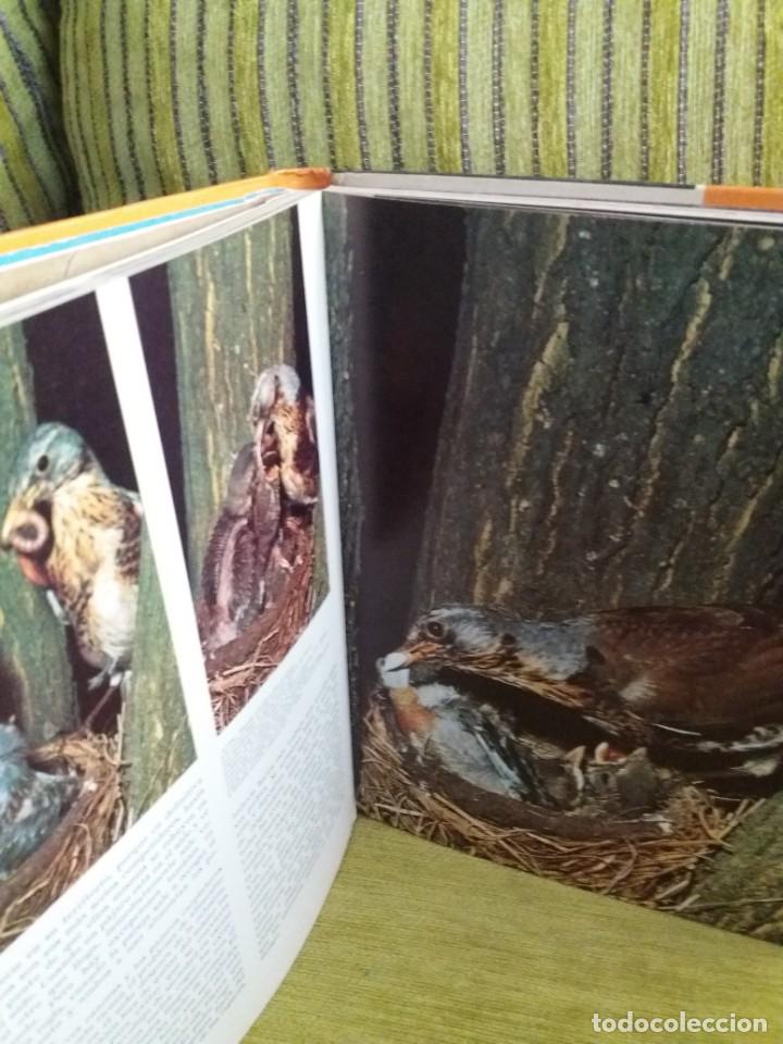 Libros de segunda mano: MARAVILLAS DE LAS AVES - Foto 7