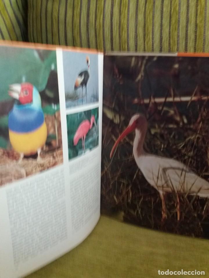 Libros de segunda mano: MARAVILLAS DE LAS AVES - Foto 9