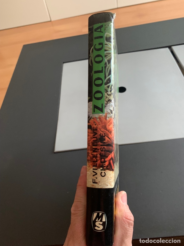 Libros de segunda mano: ZOOLOG&Iacute;A. ED. MS. 1975. - Foto 2