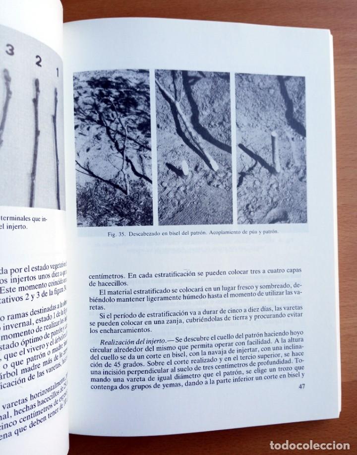 Libros de segunda mano: El nogal, de F. Luna Lorente. - Foto 3