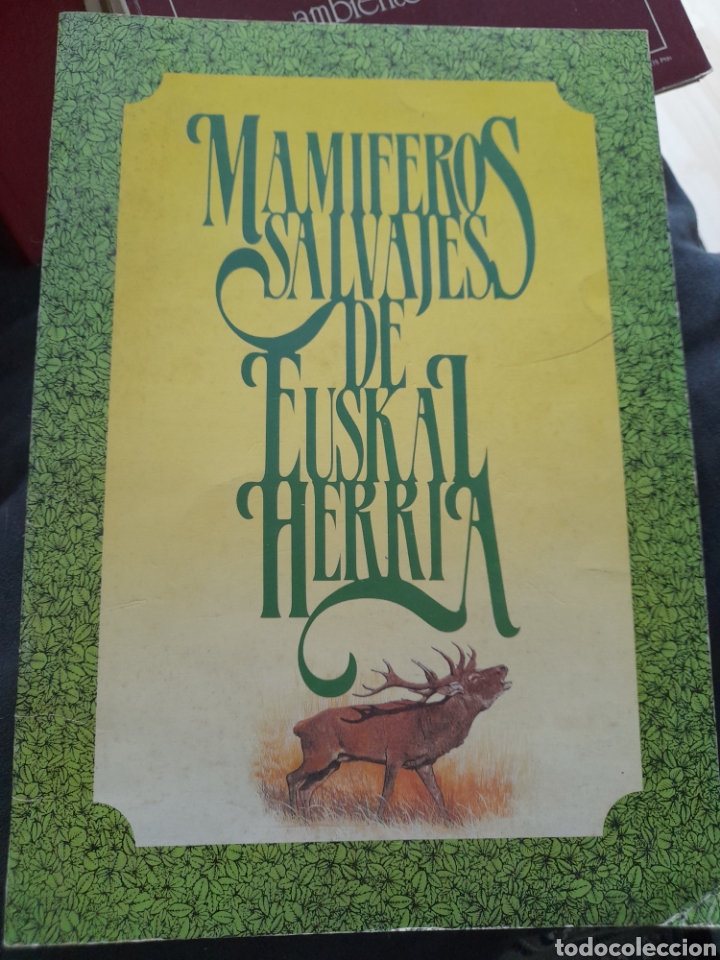 Libros de segunda mano: Mam&iacute;feros salvajes de Euskal Herria