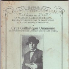Libros de segunda mano: HOMENAJE A CRUZ GALLASTEGUI UNAMUNO - REEDICION CONFERENCIA PRONUNCIADA POR EL (1927 - 1984). Lote 352111939