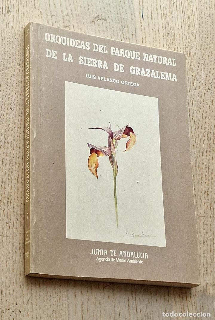 Libri di seconda mano: ORQU&Iacute;DEAS DEL PARQUE NATURAL DE LA SIERRA DE GRAZALEMA - VELASCO ORTEGA, Luis