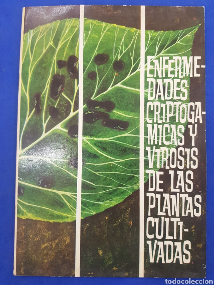 Shell ,enfermedades Criptogamicas y cirrosis de las plantas cultivadas ,a&ntilde;o 1964