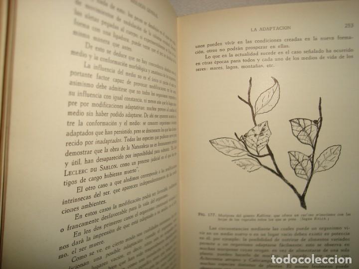 Libros de segunda mano: 27- BIOLOG&Iacute;A - JOS&Eacute; DE LILLE BORJA - Foto 10