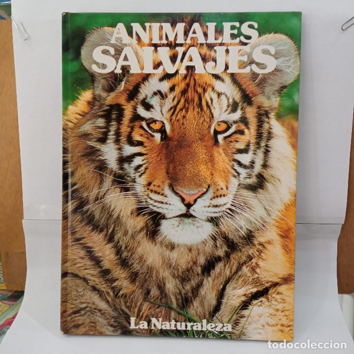 Libros de segunda mano: Animales salvajes - Jane Burton - Ediciones Castell 1982. - Foto 1