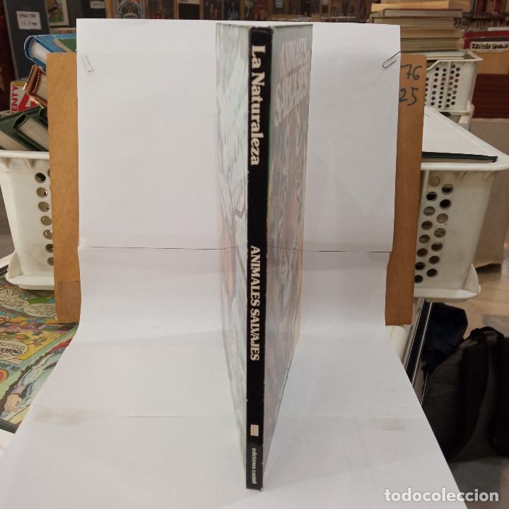 Libros de segunda mano: Animales salvajes - Jane Burton - Ediciones Castell 1982. - Foto 2