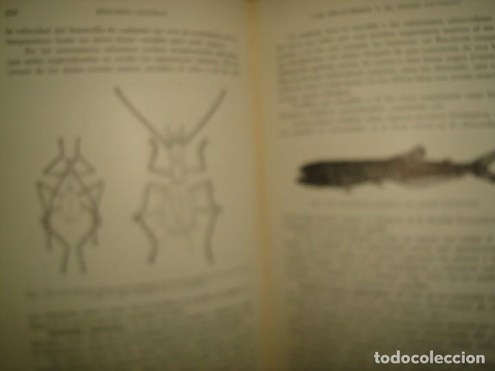 Libros de segunda mano: 27- BIOLOG&Iacute;A GENERAL - DR. JOS&Eacute; DE LILLE - 1955 - Foto 13
