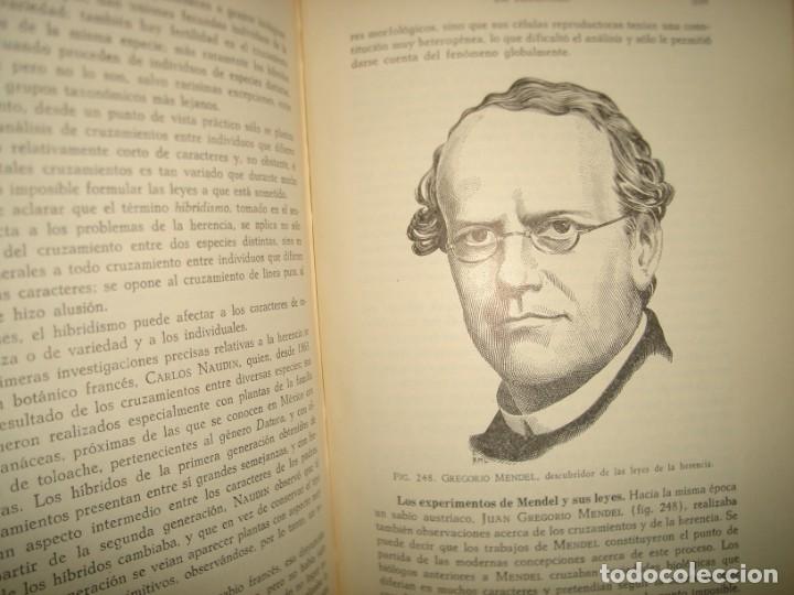 Libros de segunda mano: 27- BIOLOG&Iacute;A GENERAL - DR. JOS&Eacute; DE LILLE - 1955 - Foto 15