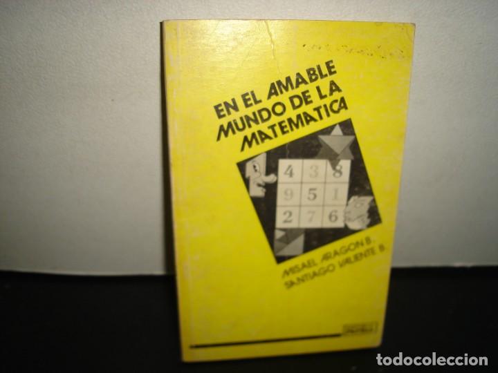 Libros de segunda mano de ciencias: 27- EN EL AMABLE MUNDO DE LA MATEM&Aacute;TICA - MISAEL ARAG&Oacute;N - Foto 1