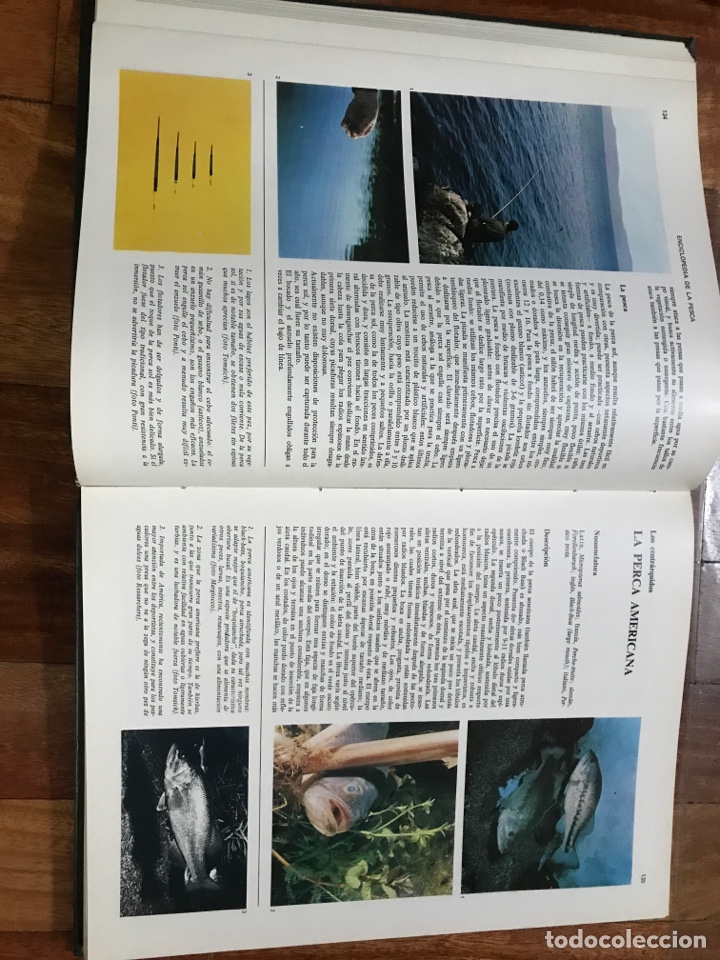 Libros de segunda mano: La pesca( S.D.). J.F.S.A - Foto 2