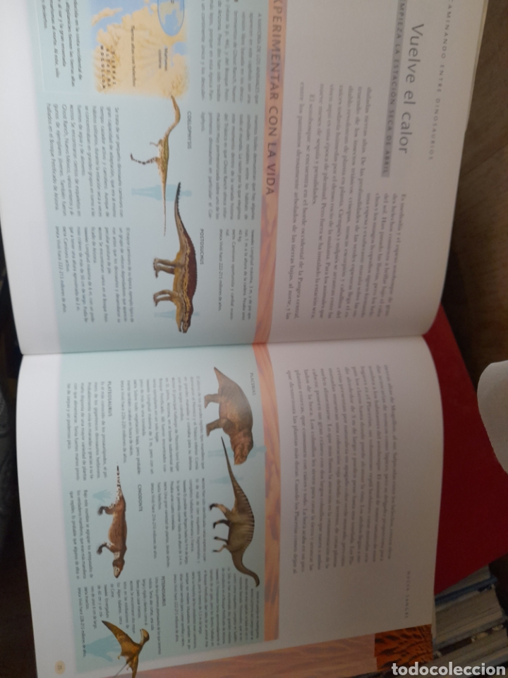 Libros de segunda mano: Caminando entre dinosaurios. Tim Haines - Foto 3