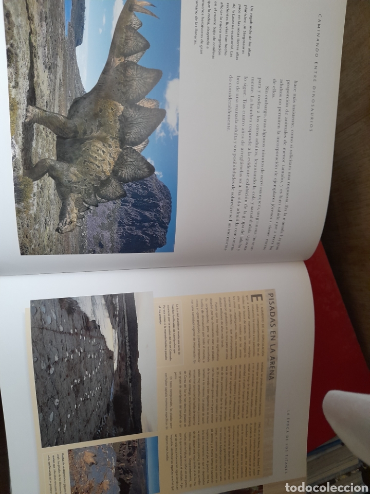 Libros de segunda mano: Caminando entre dinosaurios. Tim Haines - Foto 4