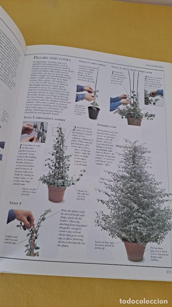 Libros de segunda mano: CHRISTOPHER BRICKELL - PRUNING & TRAINING - THE ROYAL HORTICULTURAL SOCIETY 1997 - Foto 5