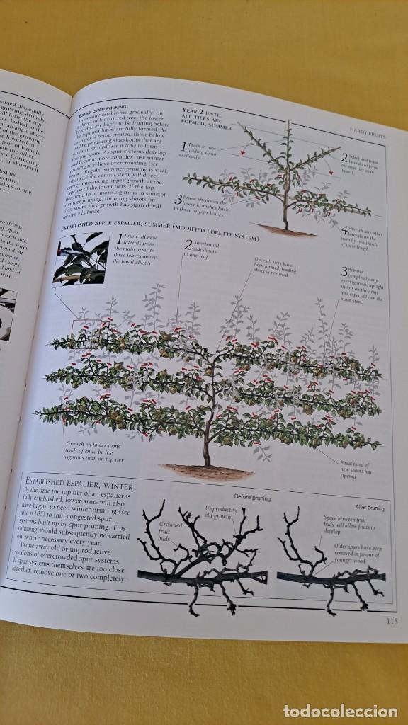Libros de segunda mano: CHRISTOPHER BRICKELL - PRUNING & TRAINING - THE ROYAL HORTICULTURAL SOCIETY 1997 - Foto 6