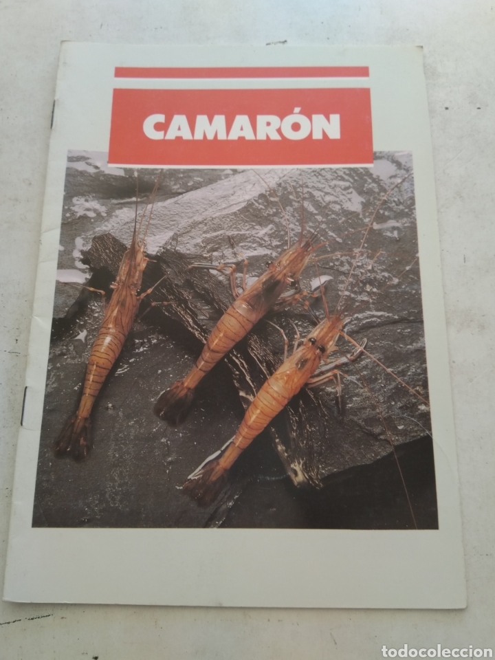 Libros de segunda mano: CAMAR&Oacute;N/XUNTA DE GALICIA - Foto 1