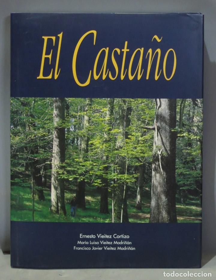 Libros de segunda mano: El casta&ntilde;o. VV.AA - Foto 1