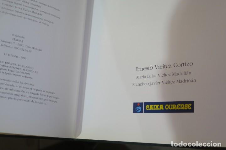 Libros de segunda mano: El casta&ntilde;o. VV.AA - Foto 2