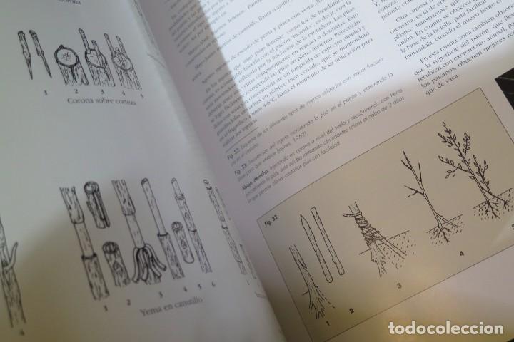 Libros de segunda mano: El casta&ntilde;o. VV.AA - Foto 3