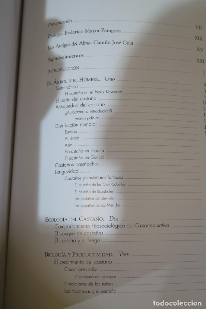 Libros de segunda mano: El casta&ntilde;o. VV.AA - Foto 4