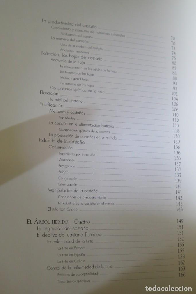 Libros de segunda mano: El casta&ntilde;o. VV.AA - Foto 5