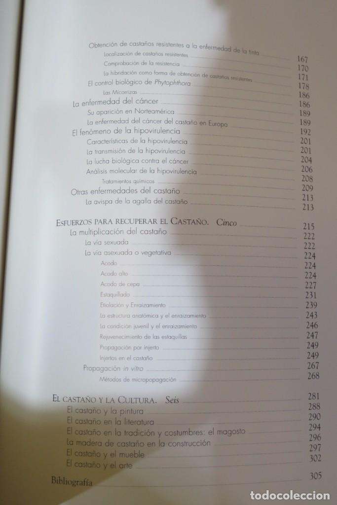 Libros de segunda mano: El casta&ntilde;o. VV.AA - Foto 6