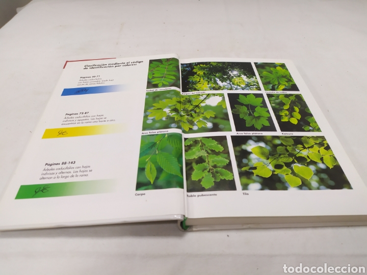 Libros de segunda mano: &Aacute;rboles de hoja caduca, C&iacute;rculo de lectores - Foto 3