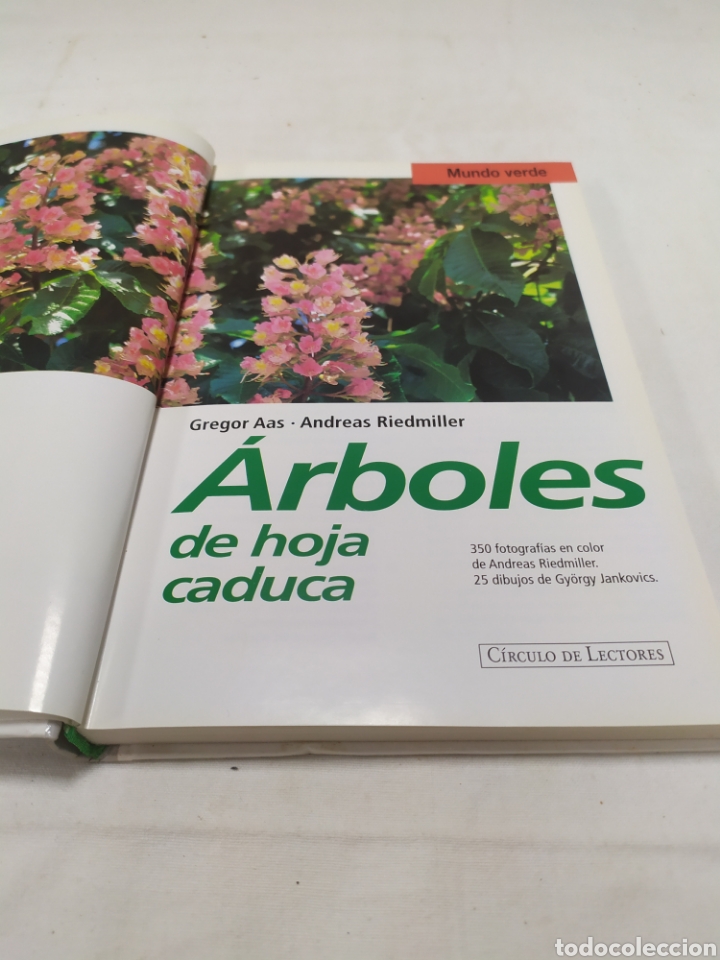 Libros de segunda mano: &Aacute;rboles de hoja caduca, C&iacute;rculo de lectores - Foto 4