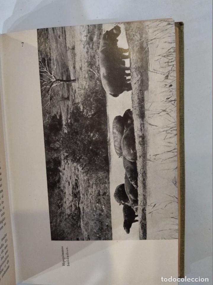 Libros de segunda mano: La vida social de los animales - Hans Wohlbold - Foto 3