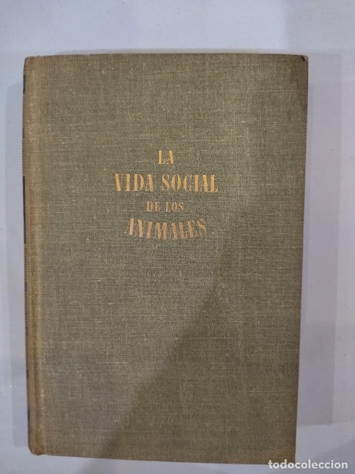 Libros de segunda mano: La vida social de los animales - Hans Wohlbold - Foto 1