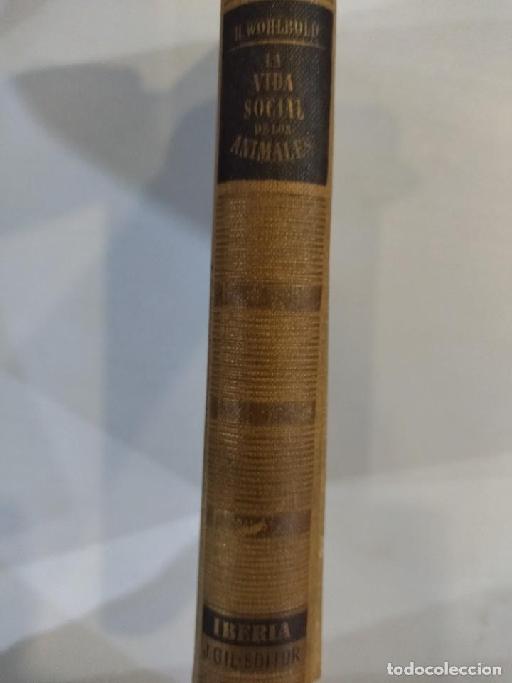 Libros de segunda mano: La vida social de los animales - Hans Wohlbold - Foto 2