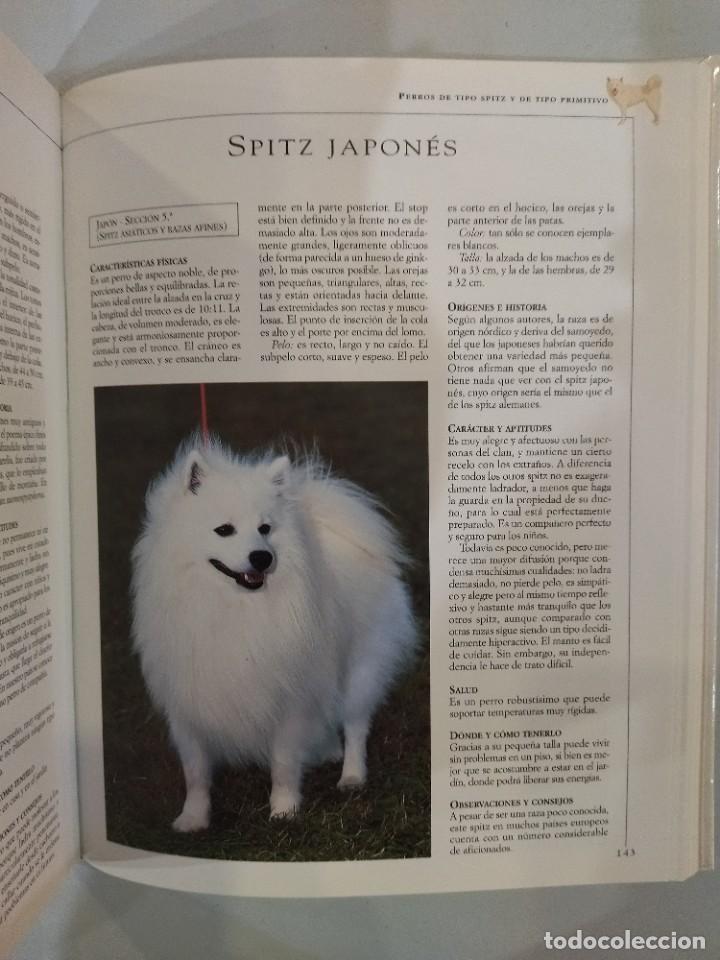Libros de segunda mano: El gran libro del los perros de raza - Valeria Rossi - Foto 4