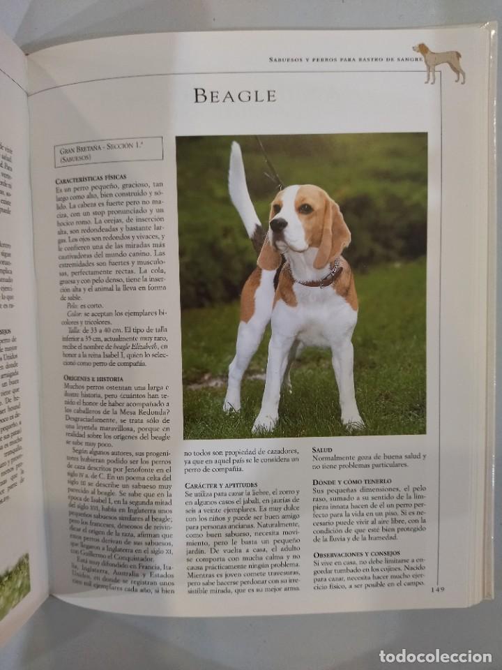 Libros de segunda mano: El gran libro del los perros de raza - Valeria Rossi - Foto 3