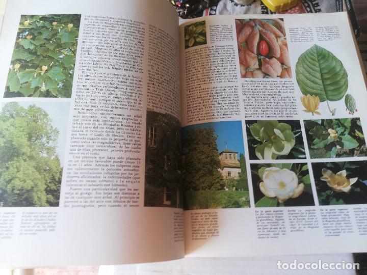 Libros de segunda mano: HUGH JOHSON. LOS ARBOLES. Editorial Blume. 1980 - Foto 3