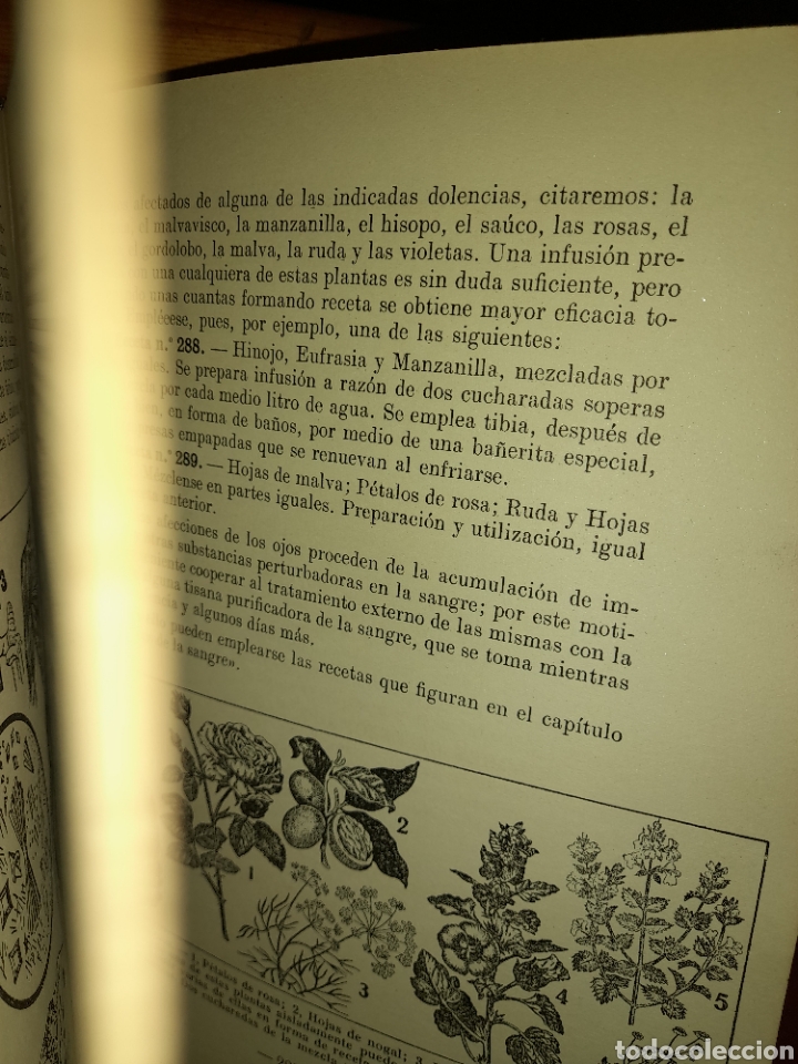 Libros de segunda mano: PLANTAS MEDICINALES DR.VANDER 1958 - Foto 11