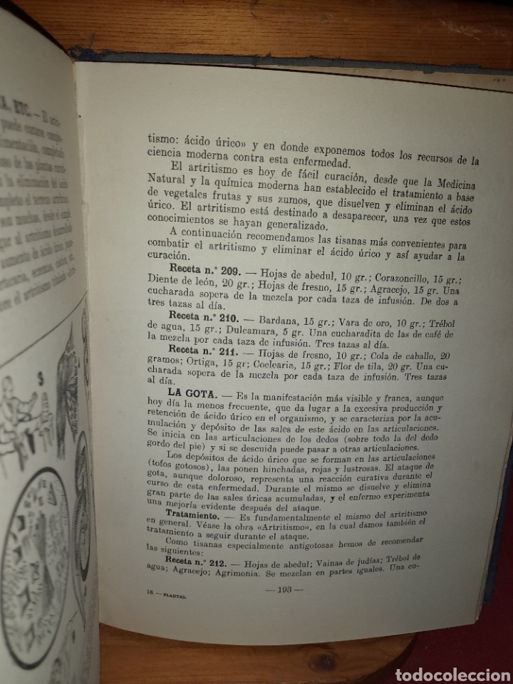 Libros de segunda mano: PLANTAS MEDICINALES DR.VANDER 1958 - Foto 12