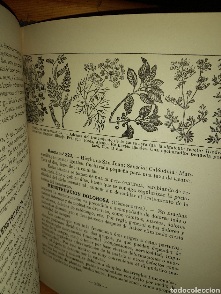 Libros de segunda mano: PLANTAS MEDICINALES DR.VANDER 1958 - Foto 14