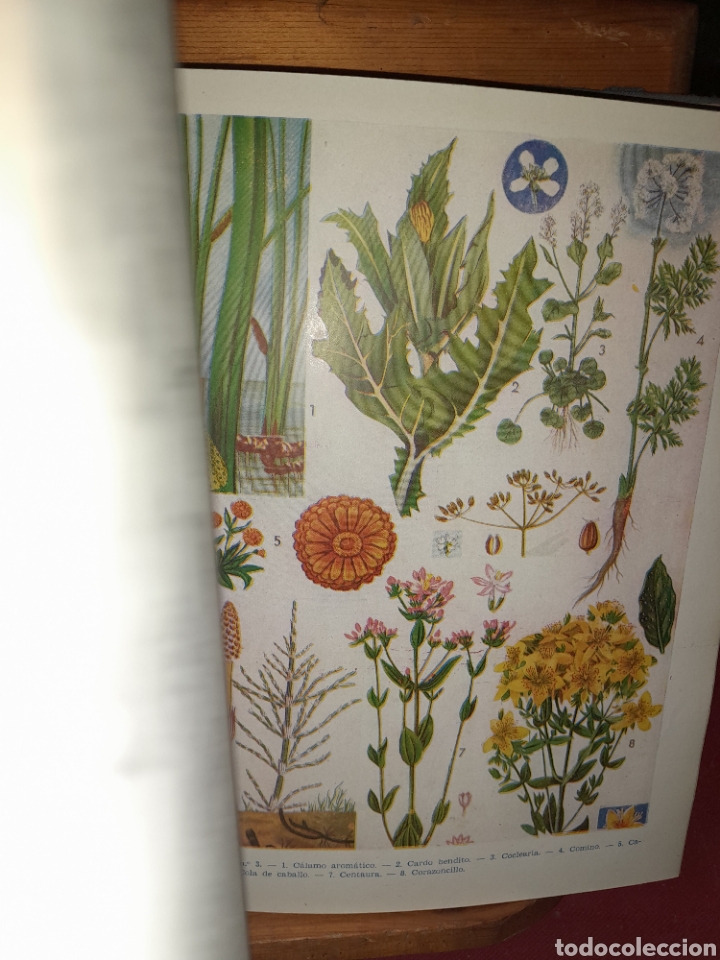 Libros de segunda mano: PLANTAS MEDICINALES DR.VANDER 1958 - Foto 17