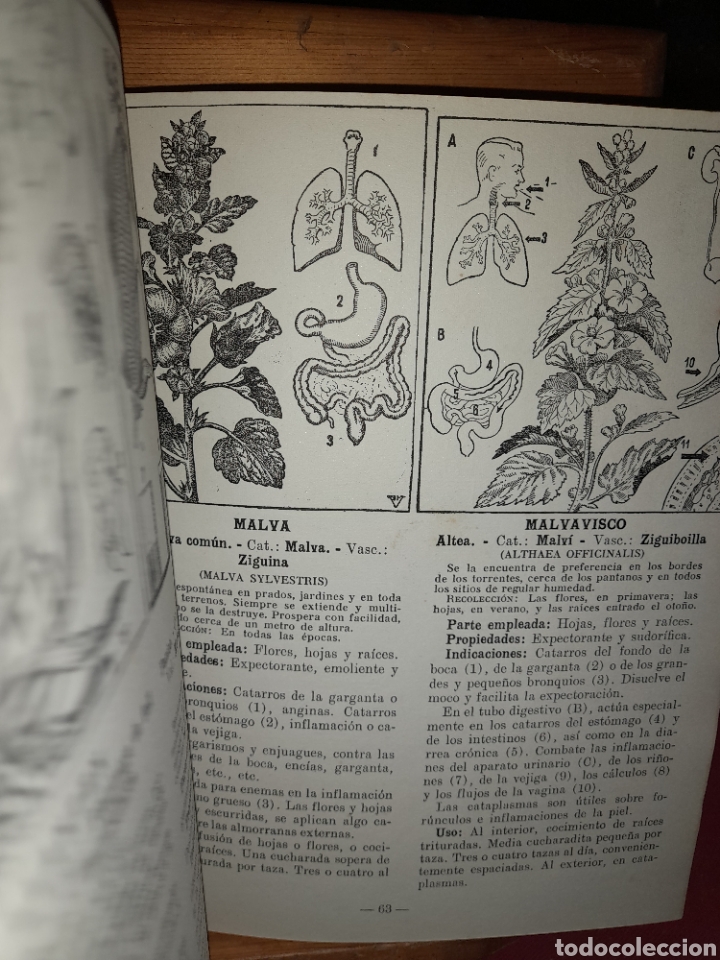 Libros de segunda mano: PLANTAS MEDICINALES DR.VANDER 1958 - Foto 19