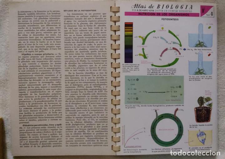 Libros de segunda mano: ATLAS DE BIOLOG&Iacute;A. - Foto 3