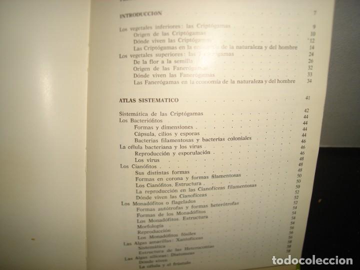 Libros de segunda mano: 34- ATLAS DE BOT&Aacute;NICA. EDITORIAL TEIDE - Foto 3