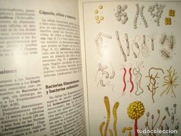 Libros de segunda mano: 34- ATLAS DE BOT&Aacute;NICA. EDITORIAL TEIDE - Foto 6
